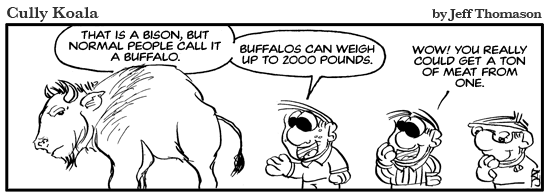 daily comic