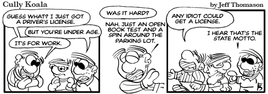 daily comic