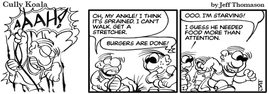 daily comic